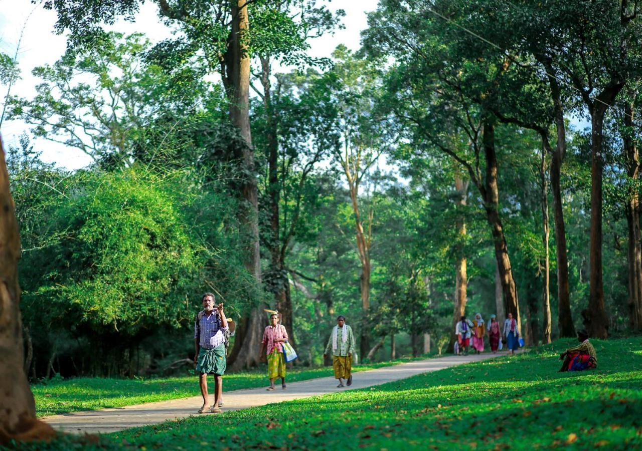 Tusker Inn Wayanad Forest Villa By Voye Homes Екстер'єр фото