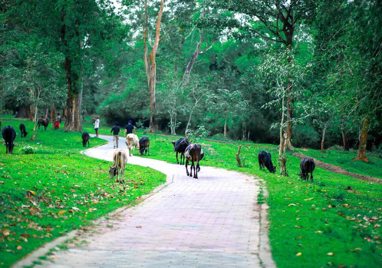 Tusker Inn Wayanad Forest Villa By Voye Homes Екстер'єр фото
